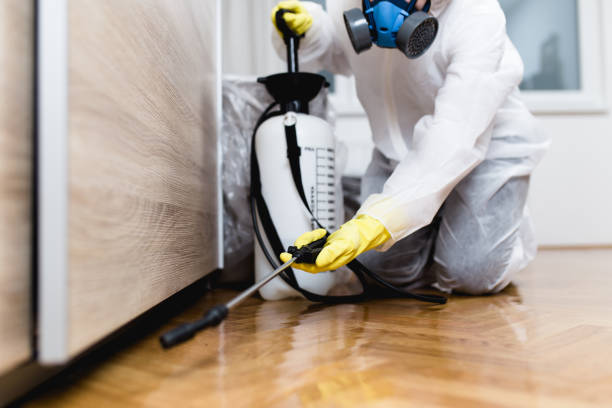 Best Residential Pest Control  in Stroud, OK