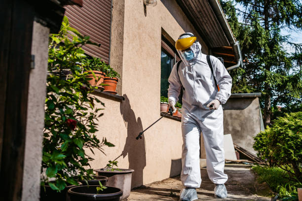 Best Wasp Removal Services  in Stroud, OK