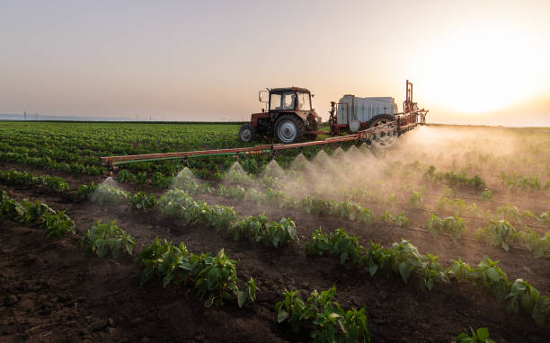 Best Best Pest Control Companies  in Stroud, OK