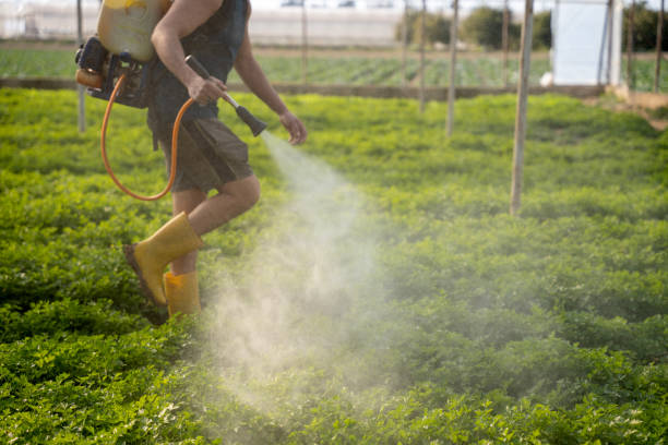 Best Best Pest Control Companies  in Stroud, OK