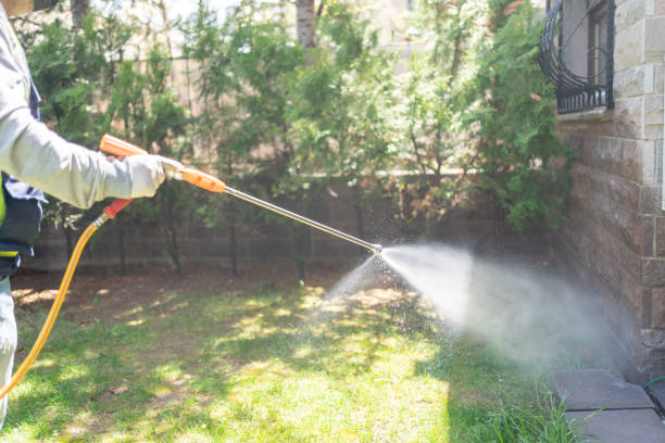 Best Affordable Pest Control Services  in Stroud, OK