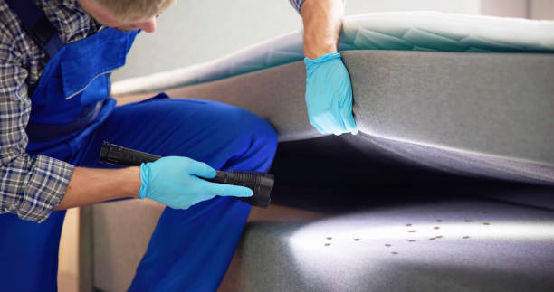 Best Cockroach Control Services  in Stroud, OK