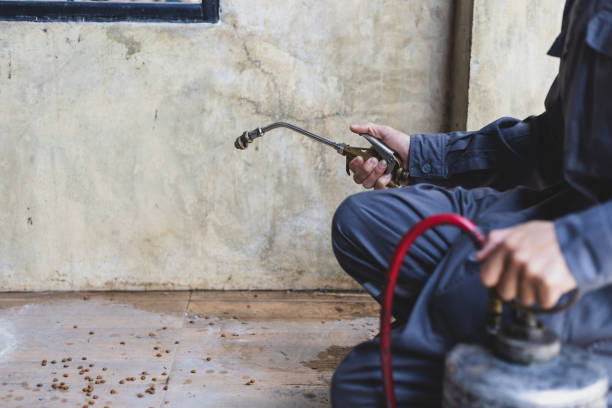 Best Best Pest Control Companies  in Stroud, OK